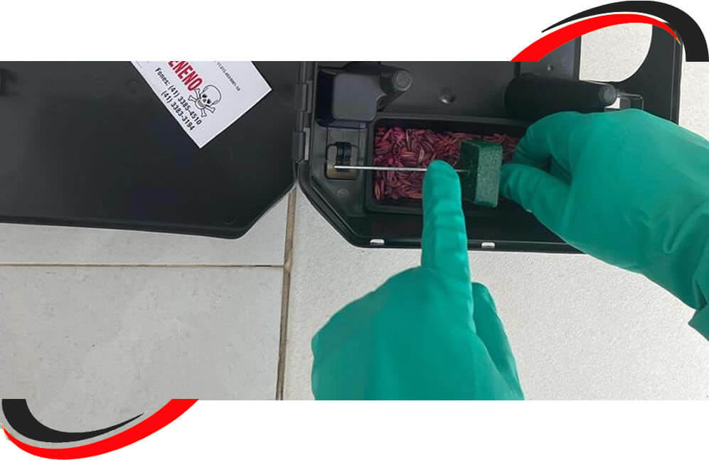 Serviço de Desratização