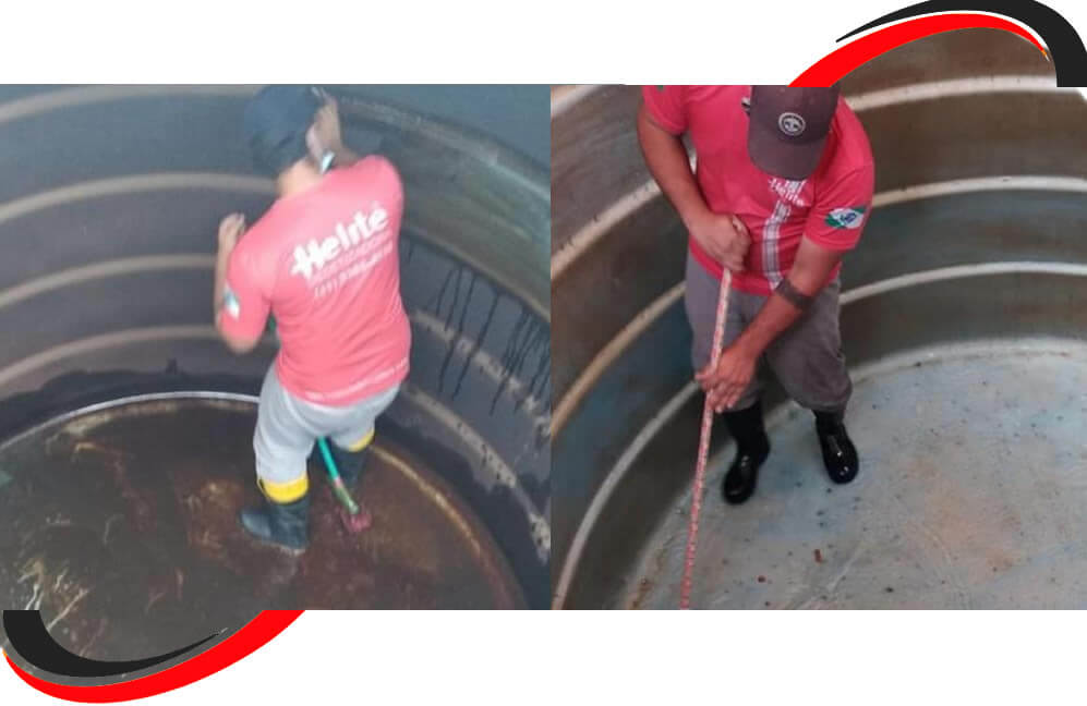 Serviço de Desratização