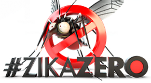 Dedetizadora Curitiba – Todos Contra o Aedes  Aegypti